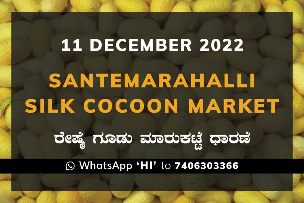 Silk Santemarahalli Government Cocoon Market