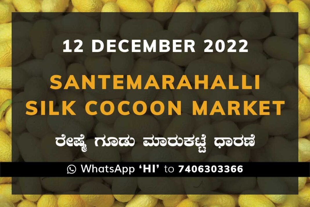 Silk Santemarahalli Government Cocoon Market