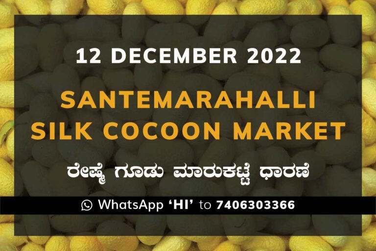 Silk Santemarahalli Government Cocoon Market
