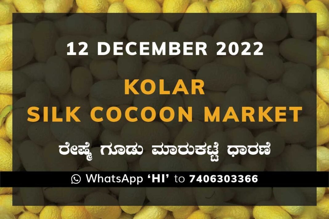 Kolar Silk Cocoon Market Price Rate ಕೋಲಾರ ರೇಷ್ಮೆ ಗೂಡು ಮಾರುಕಟ್ಟೆ ಧಾರಣೆ
