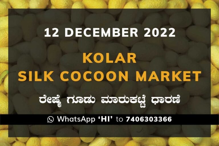 Kolar Silk Cocoon Market Price Rate ಕೋಲಾರ ರೇಷ್ಮೆ ಗೂಡು ಮಾರುಕಟ್ಟೆ ಧಾರಣೆ