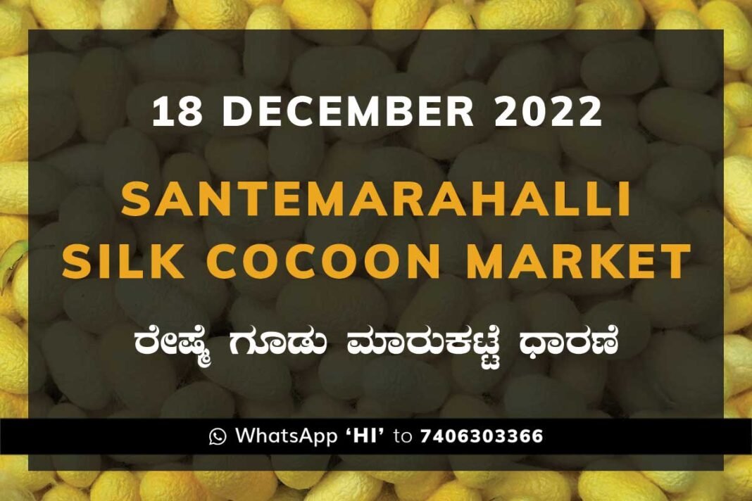 Silk Santemarahalli Government Cocoon Market