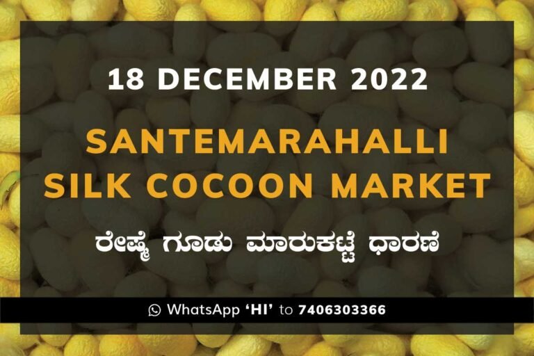 Silk Santemarahalli Government Cocoon Market