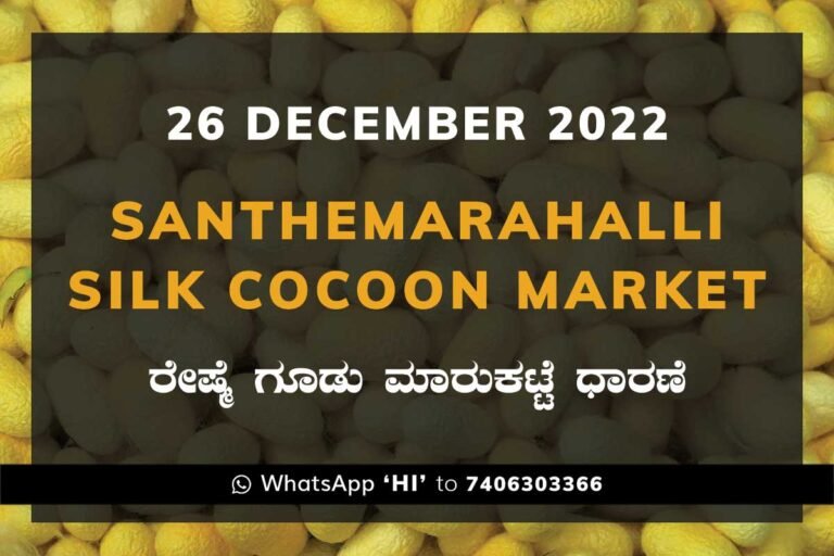 Silk Santhemarahalli Government Cocoon Market