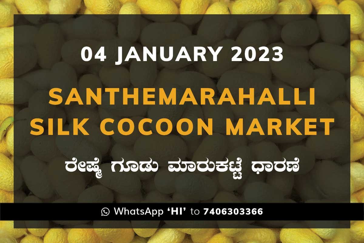04JAN23Ka2b Silk Santhemarahalli Government Cocoon Market