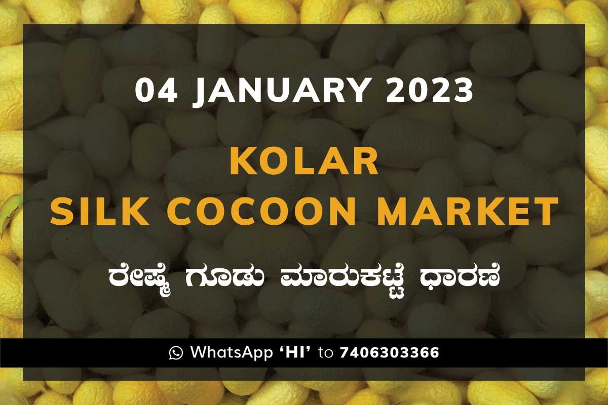 04JAN23Ka2g Kolar Silk Cocoon Market Price Rate ಕೋಲಾರ ರೇಷ್ಮೆ ಗೂಡು ಮಾರುಕಟ್ಟೆ ಧಾರಣೆ