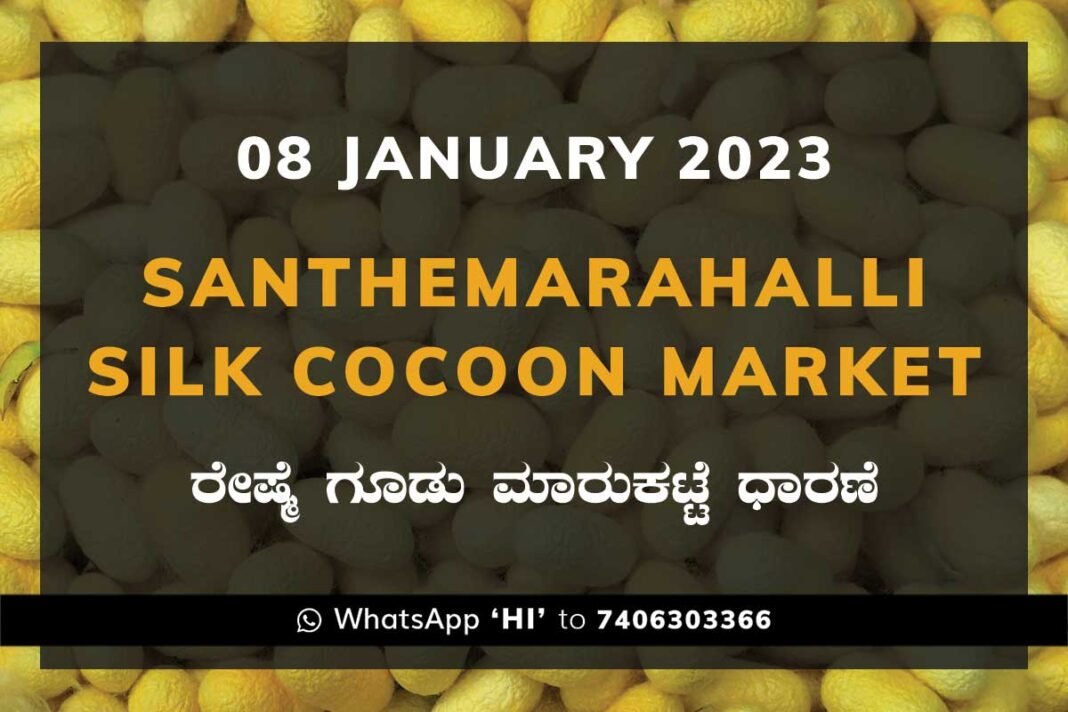 Silk Santhemarahalli Government Cocoon Market