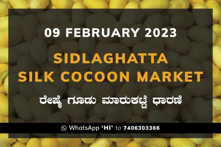 09FEB23Ka2f