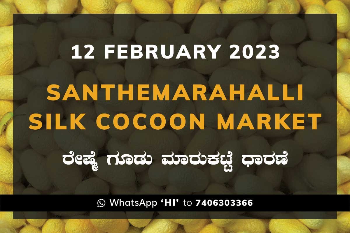 12FEB23Ka2a Silk Santhemarahalli Government Cocoon Market