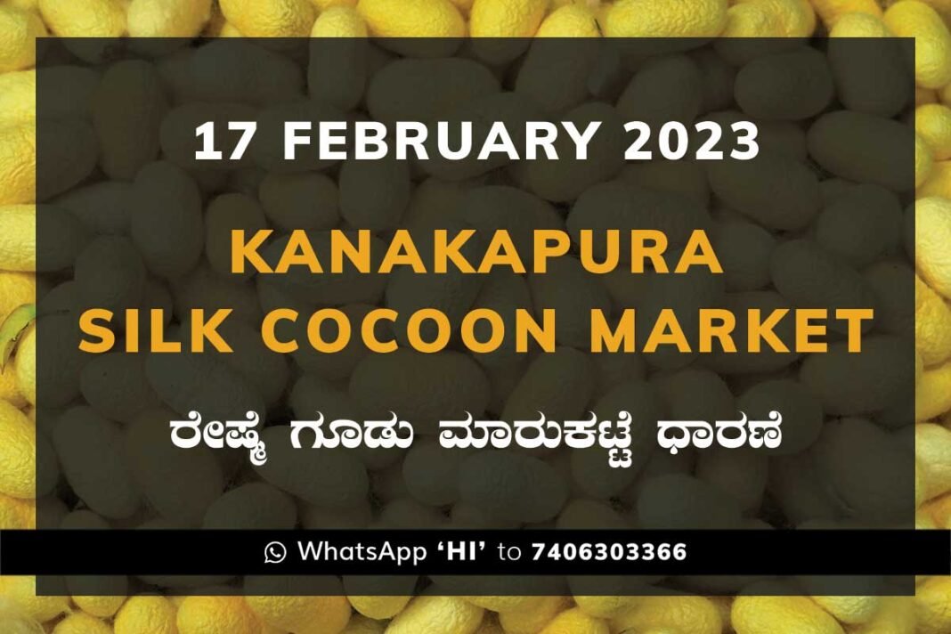 Kanakapura Silk Cocoon Market Price Rate ಕನಕಪುರ ರೇಷ್ಮೆ ಗೂಡು ಮಾರುಕಟ್ಟೆ ಧಾರಣೆ