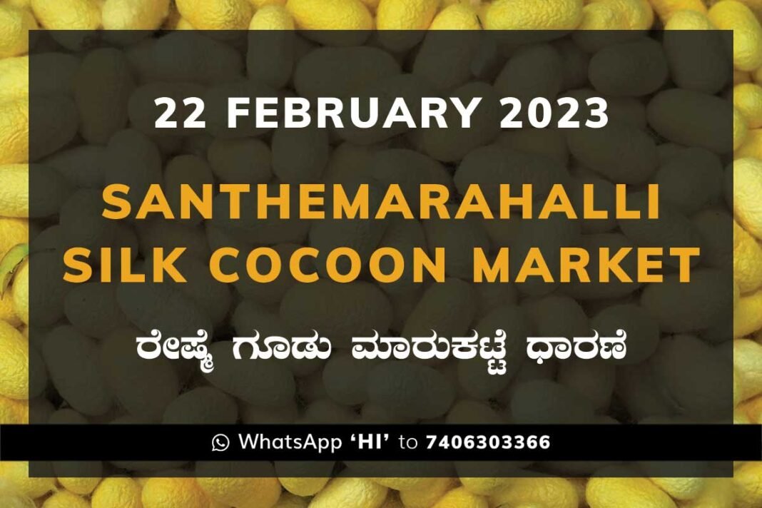 Silk Santhemarahalli Santemarahalli Government Cocoon Market