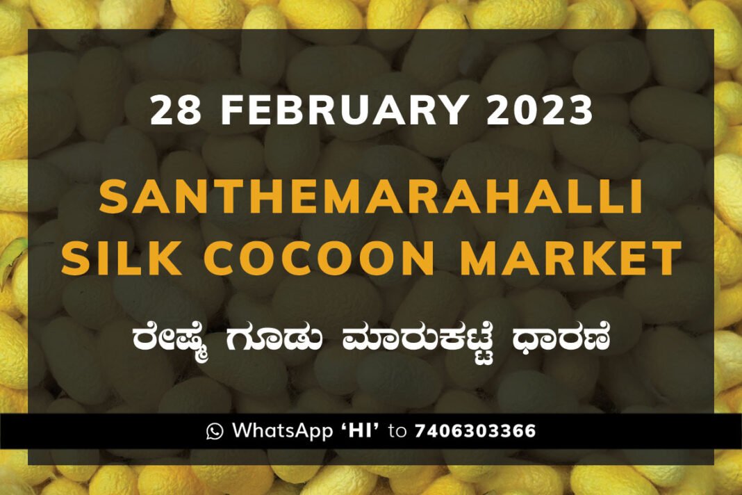 Silk Santhemarahalli Santemarahalli Government Cocoon Market