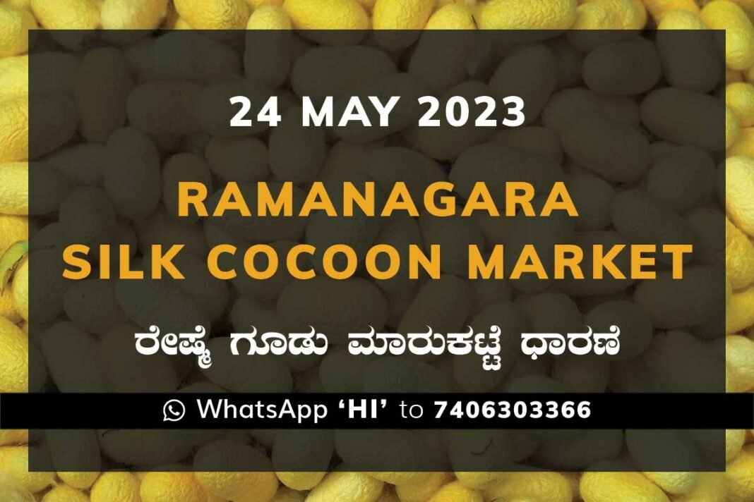 Ramanagara Silk Cocoon Market ರಾಮನಗರ ರೇಷ್ಮೆ ಗೂಡು ಮಾರುಕಟ್ಟೆ ಧಾರಣೆ