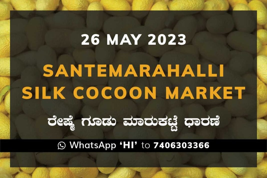 Silk Santhemarahalli Santemarahalli Government Cocoon Market