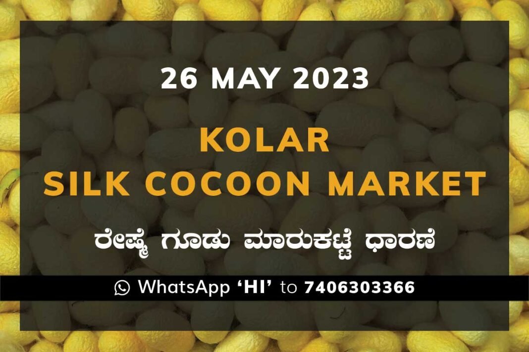 Kolar Silk Cocoon Market Price Rate ಕೋಲಾರ ರೇಷ್ಮೆ ಗೂಡು ಮಾರುಕಟ್ಟೆ ಧಾರಣೆ