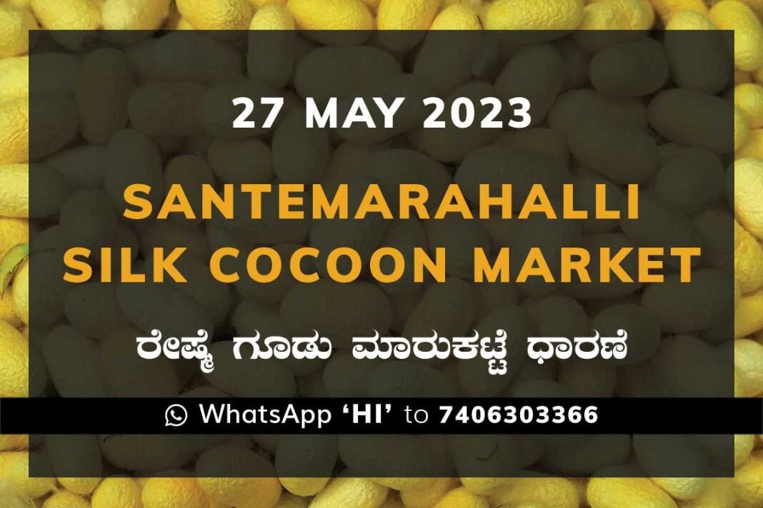 Silk Santhemarahalli Santemarahalli Government Cocoon Market