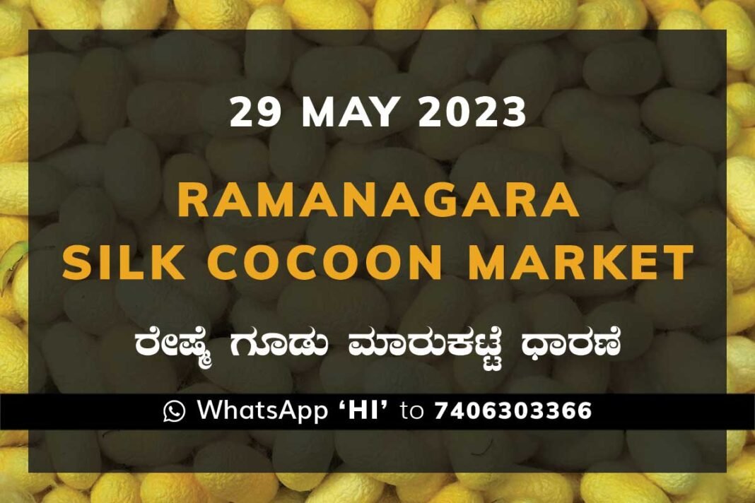 Ramanagara Silk Cocoon Market ರಾಮನಗರ ರೇಷ್ಮೆ ಗೂಡು ಮಾರುಕಟ್ಟೆ ಧಾರಣೆ