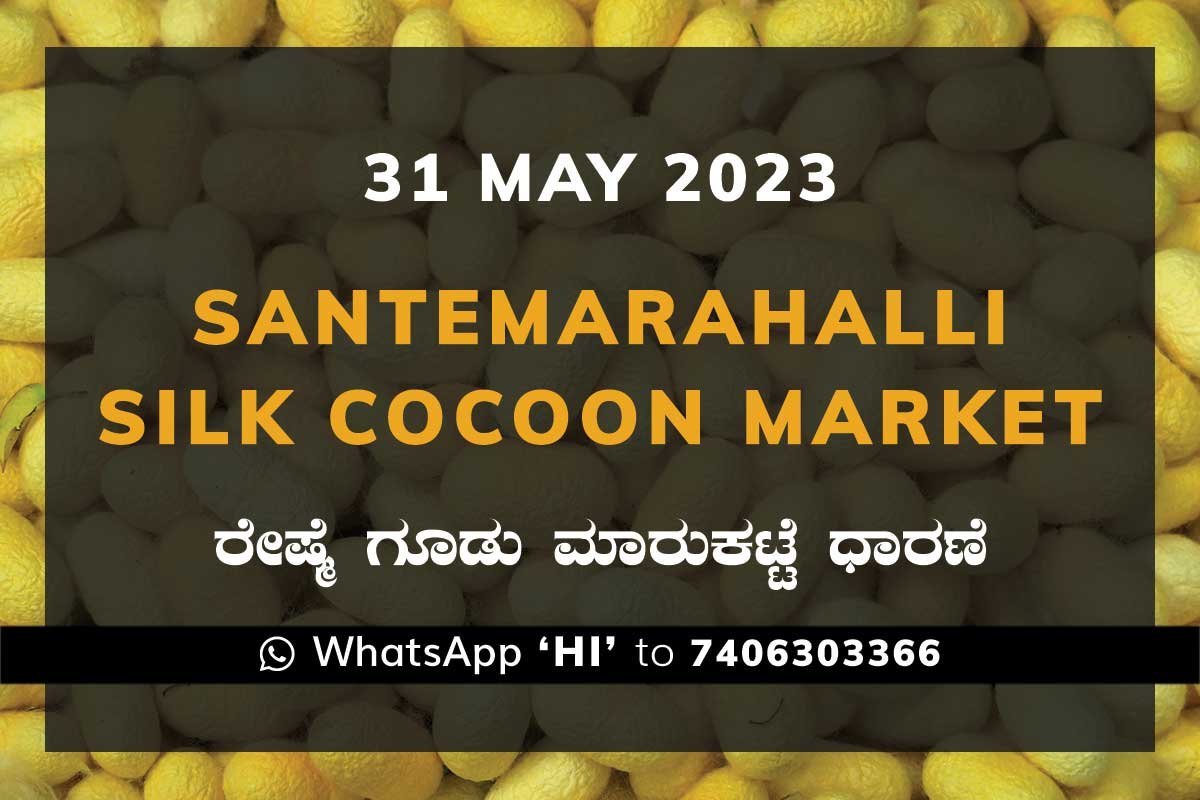 31MayKa02a Silk Santhemarahalli Santemarahalli Government Cocoon Market