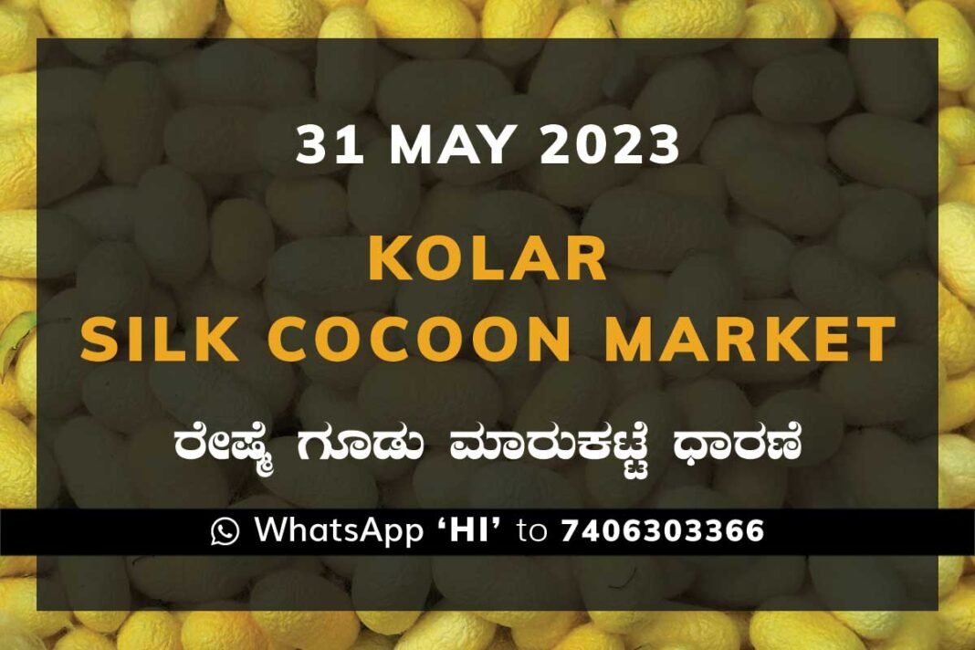 Kolar Silk Cocoon Market Price Rate ಕೋಲಾರ ರೇಷ್ಮೆ ಗೂಡು ಮಾರುಕಟ್ಟೆ ಧಾರಣೆ