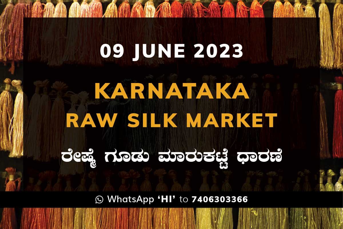 Karnataka Raw Silk Yarn Market ಕರ್ನಾಟಕ ರೇಷ್ಮೆ ನೂಲು ಮಾರುಕಟ್ಟೆ ಧಾರಣೆ