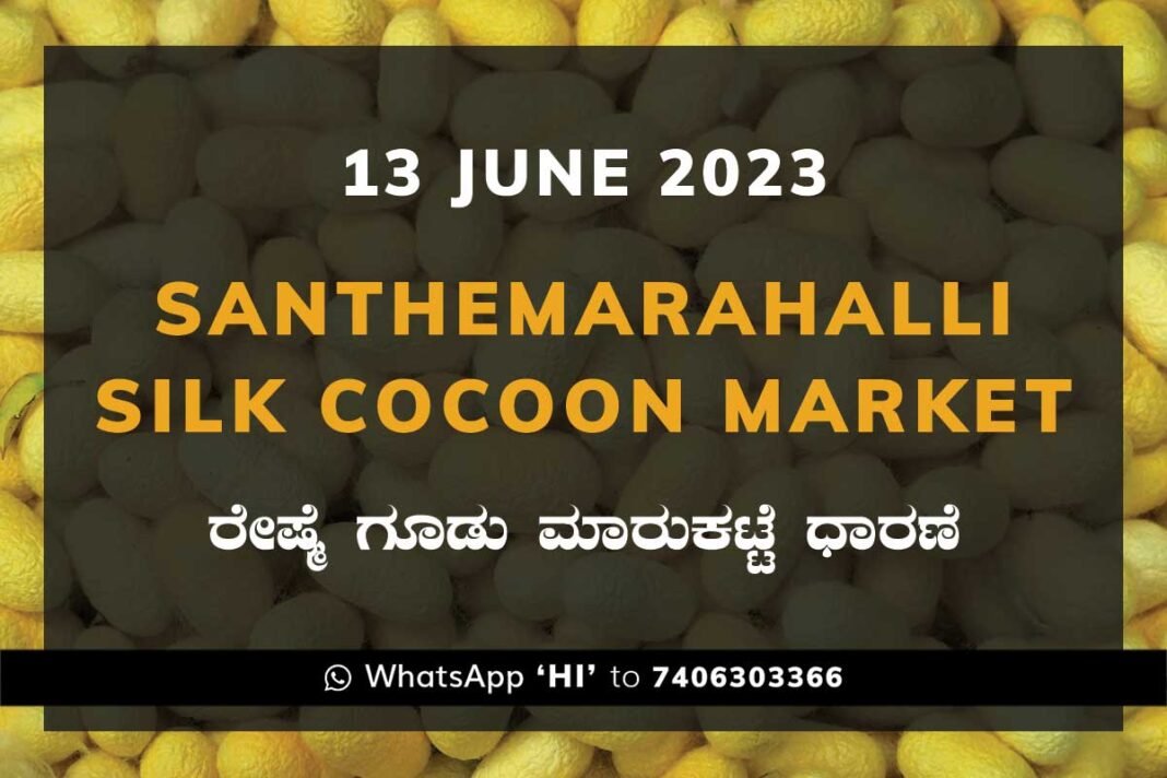 Silk Santhemarahalli Santemarahalli Government Cocoon Market