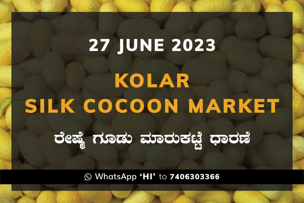 27JunKa02e Kolar Silk Cocoon Market Price Rate ಕೋಲಾರ ರೇಷ್ಮೆ ಗೂಡು ಮಾರುಕಟ್ಟೆ ಧಾರಣೆ