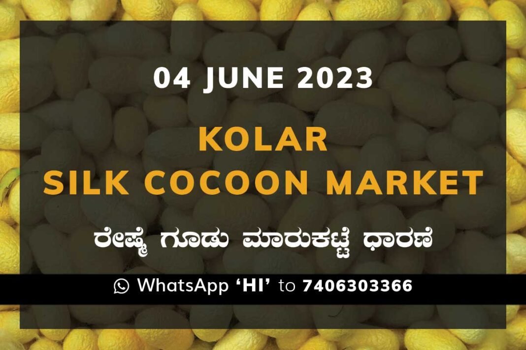 Kolar Silk Cocoon Market Price Rate ಕೋಲಾರ ರೇಷ್ಮೆ ಗೂಡು ಮಾರುಕಟ್ಟೆ ಧಾರಣೆ