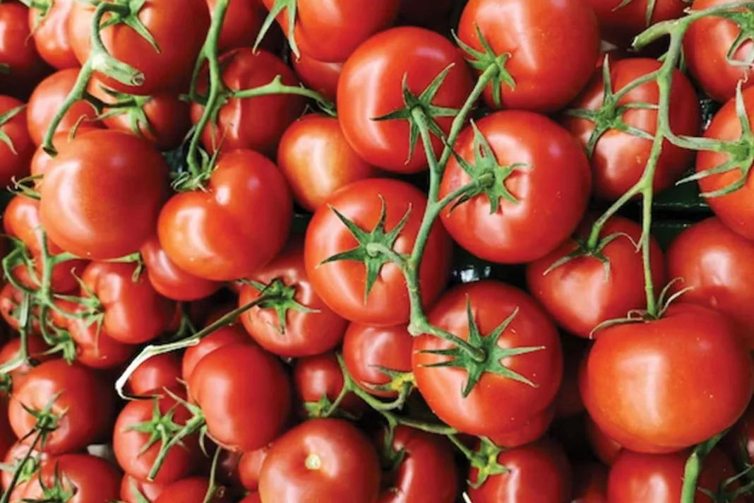 Tomato price hike ration shop Chennai, Tamilnadu