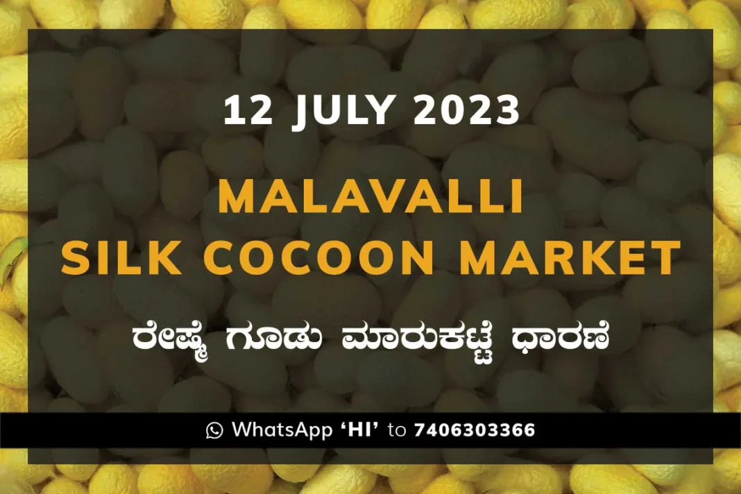 Malavalli Silk Cocoon Market Price Rate ಮಳವಳ್ಳಿ ರೇಷ್ಮೆ ಗೂಡು ಮಾರುಕಟ್ಟೆ ಧಾರಣೆ