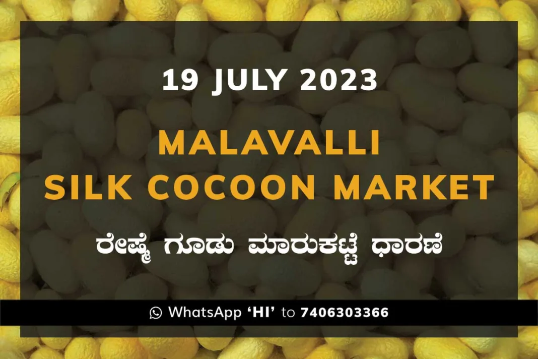 Malavalli Silk Cocoon Market Price Rate ಮಳವಳ್ಳಿ ರೇಷ್ಮೆ ಗೂಡು ಮಾರುಕಟ್ಟೆ ಧಾರಣೆ
