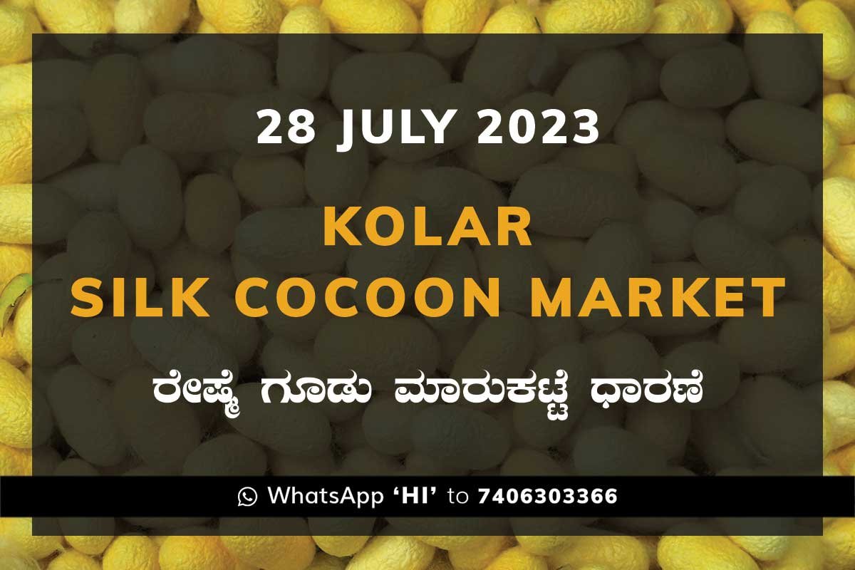 28JulKa01h Kolar Silk Cocoon Market Price Rate ಕೋಲಾರ ರೇಷ್ಮೆ ಗೂಡು ಮಾರುಕಟ್ಟೆ ಧಾರಣೆ