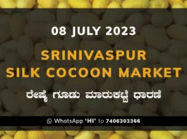 Srinivaspur Silk Cocoon Market ಶ್ರೀನಿವಾಸಪುರ ರೇಷ್ಮೆ ಗೂಡು ಮಾರುಕಟ್ಟೆ ಧಾರಣೆ