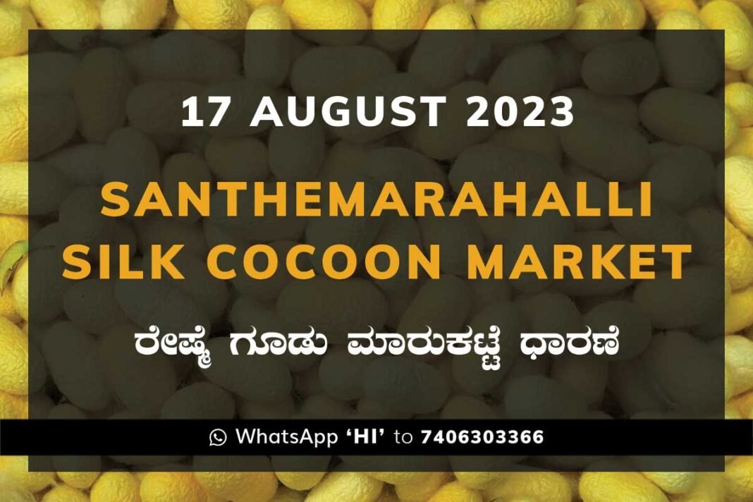 Silk Santhemarahalli Santemarahalli Government Cocoon Market ಸಂತೇಮರಹಳ್ಳಿ ರೇಷ್ಮೆ ಗೂಡು ಮಾರುಕಟ್ಟೆ ಧಾರಣೆ