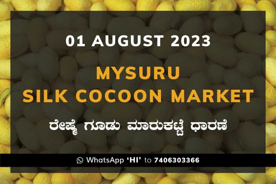 Mysuru Mysore Silk Cocoon Market Price Rate ಮೈಸೂರು ರೇಷ್ಮೆ ಗೂಡು ಮಾರುಕಟ್ಟೆ ಧಾರಣೆ