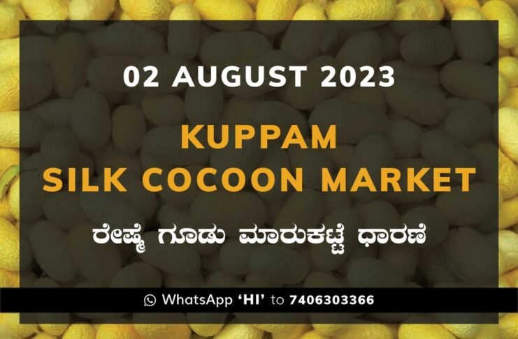 Kuppam Silk Cocoon Market Daily Rate Report ಕುಪ್ಪಮ್ ರೇಷ್ಮೆ ಗೂಡು ಮಾರುಕಟ್ಟೆ ಧಾರಣೆ
