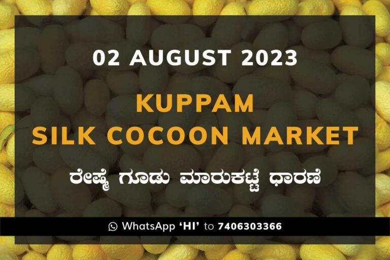Kuppam Silk Cocoon Market Daily Rate Report ಕುಪ್ಪಮ್ ರೇಷ್ಮೆ ಗೂಡು ಮಾರುಕಟ್ಟೆ ಧಾರಣೆ