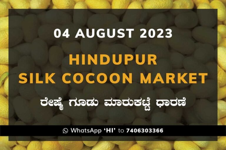 Hindupur Silk Cocoon Market ಹಿಂದೂಪುರ ರೇಷ್ಮೆ ಗೂಡು ಮಾರುಕಟ್ಟೆ ಧಾರಣೆ