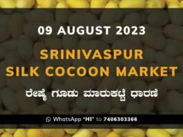 Srinivaspur Government Silk Cocoon Market Daily Rate Report ಶ್ರೀನಿವಾಸಪುರ ರೇಷ್ಮೆ ಗೂಡು ಮಾರುಕಟ್ಟೆ ಧಾರಣೆ