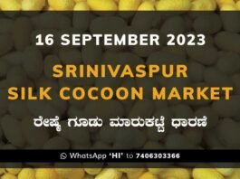 Srinivaspur Silk Cocoon Market Price Rate ಶ್ರೀನಿವಾಸಪುರ ರೇಷ್ಮೆ ಗೂಡು ಮಾರುಕಟ್ಟೆ ಧಾರಣೆ