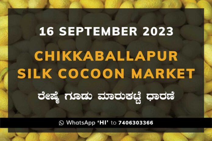 Chikkaballapur Silk Cocoon Market ಚಿಕ್ಕಬಳ್ಳಾಪುರ ರೇಷ್ಮೆ ಗೂಡು ಮಾರುಕಟ್ಟೆ ಧಾರಣೆ