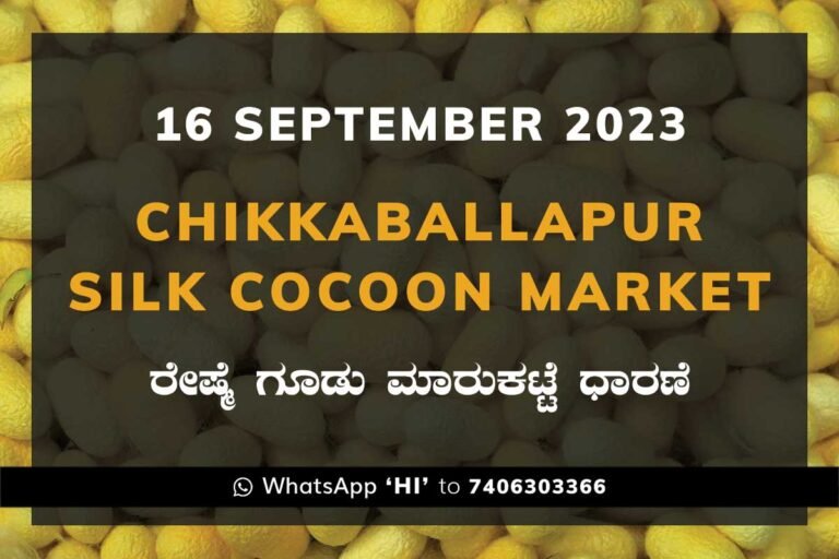 Chikkaballapur Silk Cocoon Market ಚಿಕ್ಕಬಳ್ಳಾಪುರ ರೇಷ್ಮೆ ಗೂಡು ಮಾರುಕಟ್ಟೆ ಧಾರಣೆ