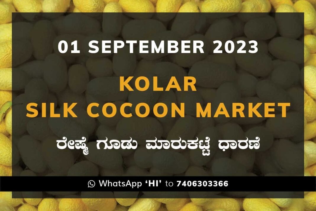 Kolar Silk Cocoon Market Price Rate ಕೋಲಾರ ರೇಷ್ಮೆ ಗೂಡು ಮಾರುಕಟ್ಟೆ ಧಾರಣೆ