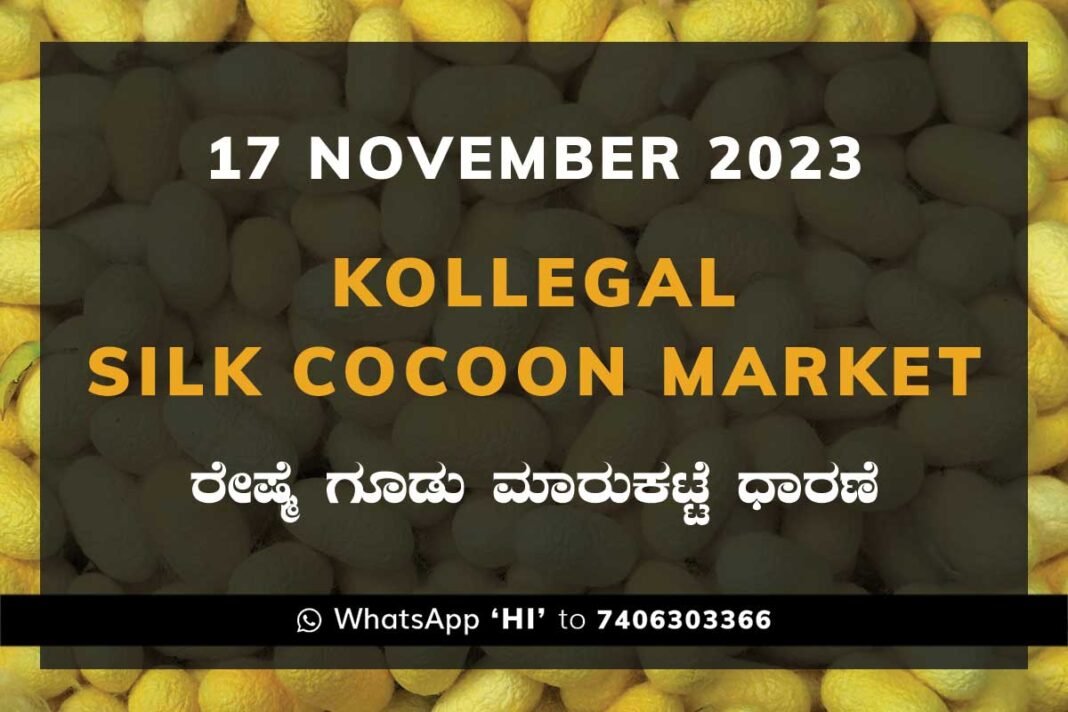 Kollegal Silk Cocoon Market Price Rate ಕೊಳ್ಳೇಗಾಲ ರೇಷ್ಮೆ ಗೂಡು ಮಾರುಕಟ್ಟೆ ಧಾರಣೆ