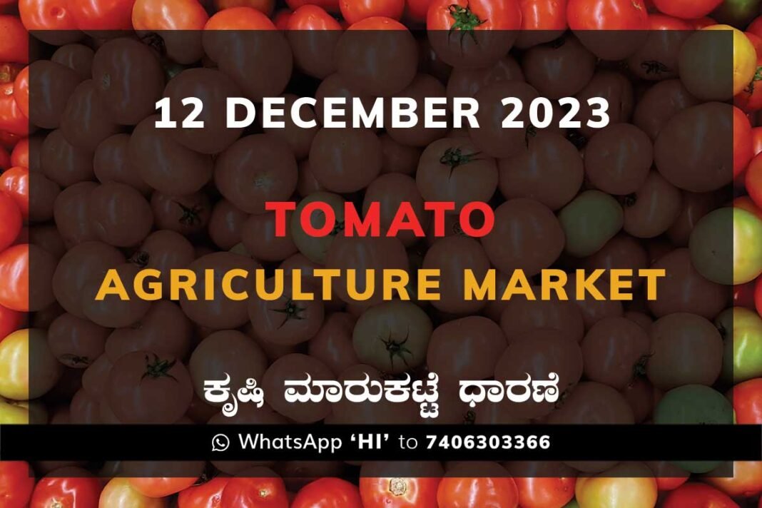 Tomato Price: Karnataka APMC Agriculture Market