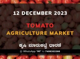 Tomato Price: Karnataka APMC Agriculture Market