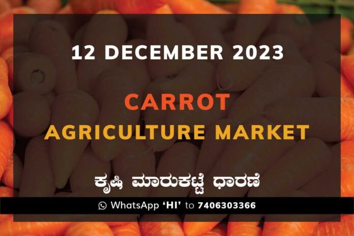 Carrot Price: Karnataka APMC Agriculture Market