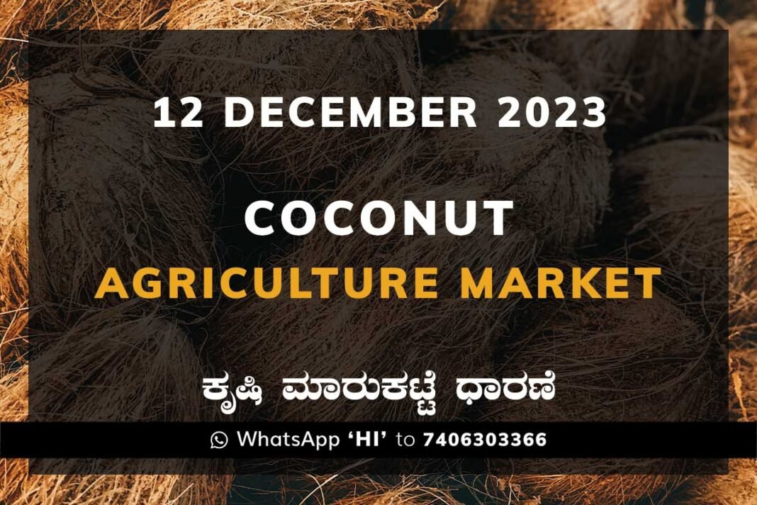 Coconut Price: Karnataka APMC Agriculture Market