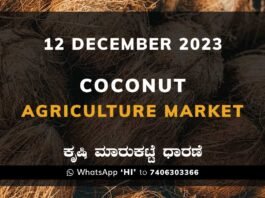 Coconut Price: Karnataka APMC Agriculture Market