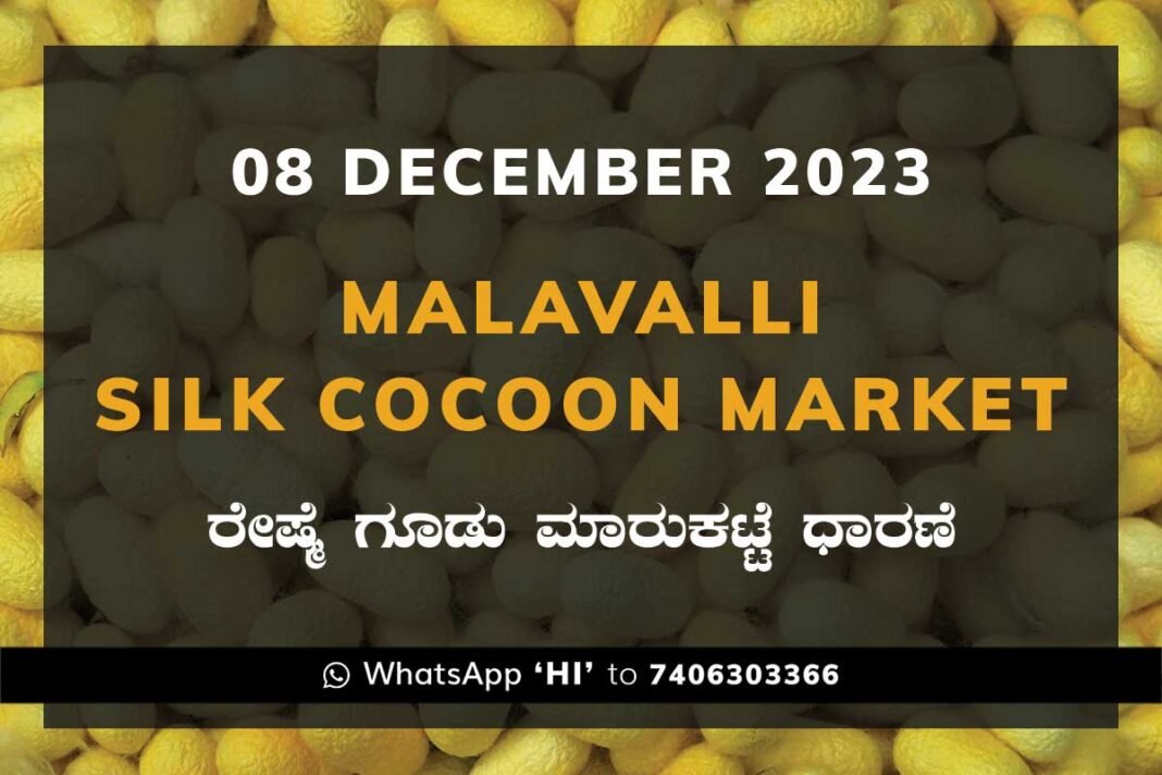 Malavalli Silk Cocoon Market Price Rate ಮಳವಳ್ಳಿ ರೇಷ್ಮೆ ಗೂಡು ಮಾರುಕಟ್ಟೆ ಧಾರಣೆ