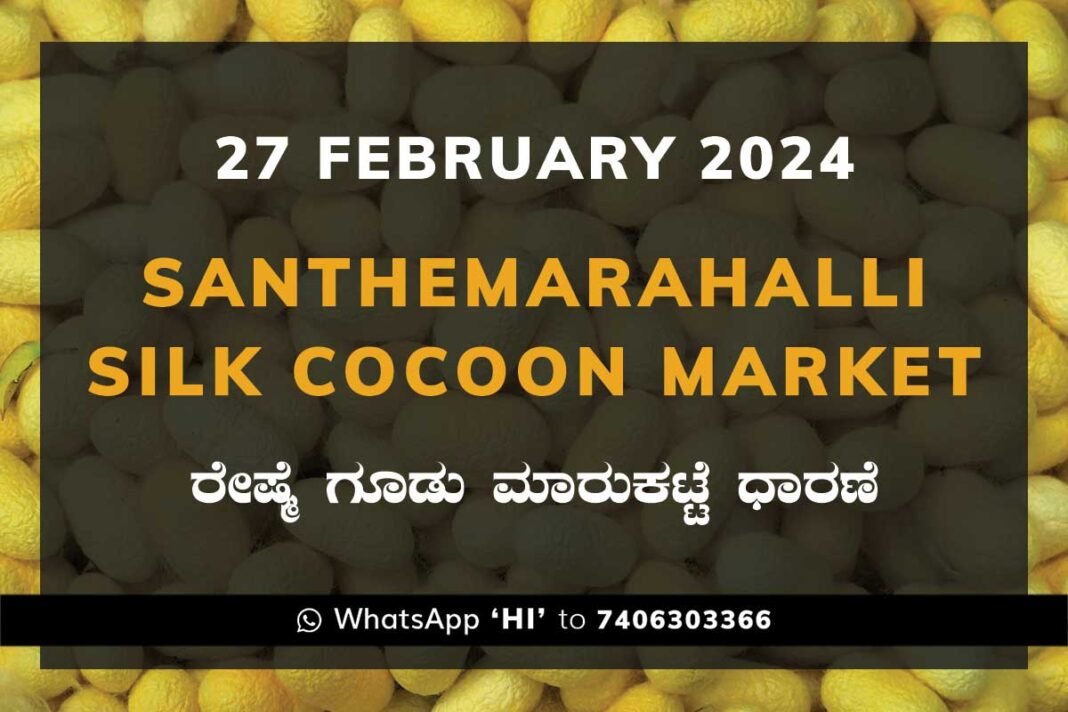 Silk Santhemarahalli Santemarahalli Government Cocoon Market ಸಂತೇಮರಹಳ್ಳಿ ರೇಷ್ಮೆ ಗೂಡು ಮಾರುಕಟ್ಟೆ ಧಾರಣೆ